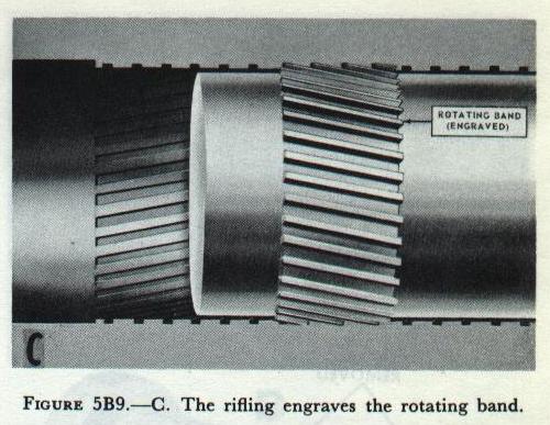 Figure 5B9_C